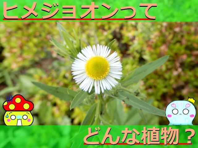 Thumbnail of post image 184